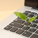 sustainable web hosting