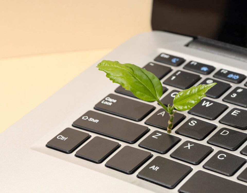 sustainable web hosting