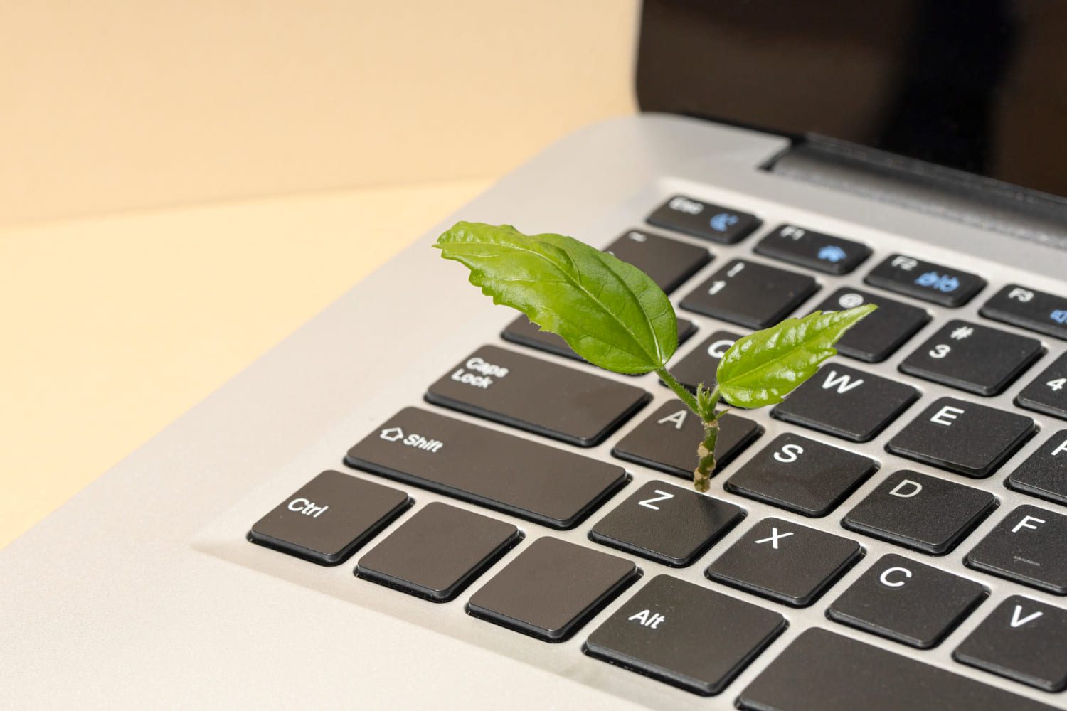 sustainable web hosting